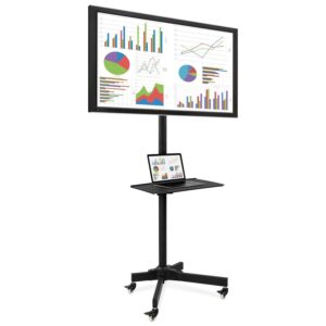 Adjustable Mobile TV Cart