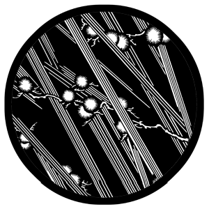 Bamboo Flower - Stock Gobo for Gobo Light Projectors - Choose your size!