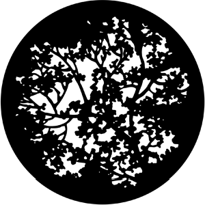 Blossoms - Stock Gobo for Gobo Light Projectors - Choose your size!