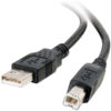 Cables To Go 6.6Ft. USB 2.0 A/B Cable