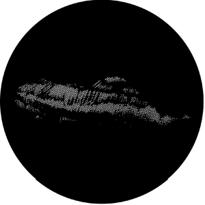 Cirro-Stratus 2 - Stock Gobo for Gobo Light Projectors - Choose your size!