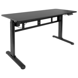 Electric Standing Desk with 55" Tabletop