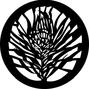 Feathery - Stock Gobo for Gobo Light Projectors - Choose your size!