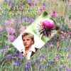 Flowers of Scotland