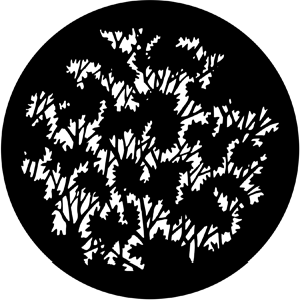 Foliage (Medium) - Stock Gobo for Gobo Light Projectors - Choose your size!