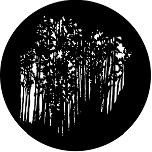 Forest - Stock Gobo for Gobo Light Projectors - Choose your size!