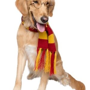 Hipster Wizard Pet Glasses