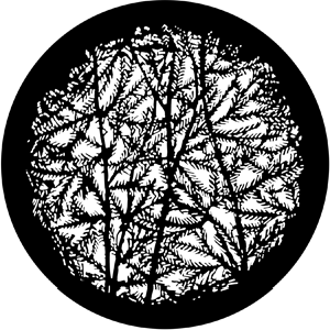 Leafy Branches 4 - Stock Gobo for Gobo Light Projectors - Choose your size!