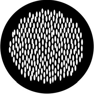 Lizard Skin - Stock Gobo for Gobo Light Projectors - Choose your size!