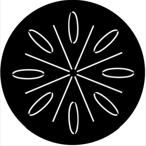 Organic 12 - Stock Gobo for Gobo Light Projectors - Choose your size!