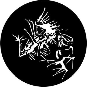 Paint Splatter - Stock Gobo for Gobo Light Projectors - Choose your size!
