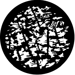 Pine Branches - Stock Gobo for Gobo Light Projectors - Choose your size!