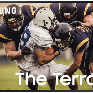 Samsung 65" The Terrace Black QLED 4K UHD Outdoor Smart HDTV