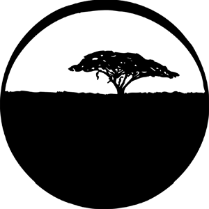 Serengeti Sun - Stock Gobo for Gobo Light Projectors - Choose your size!