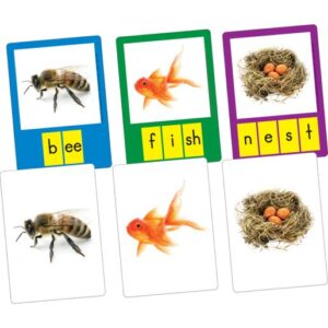 Small-Group Phoneme Photo Cards - 40 cards by Really Good Stuff