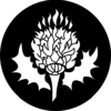 Thistle - Stock Gobo for Gobo Light Projectors - Choose your size!