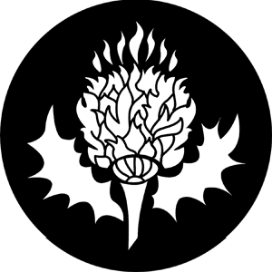Thistle - Stock Gobo for Gobo Light Projectors - Choose your size!