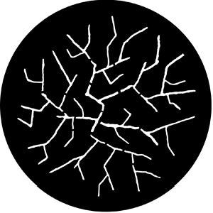 Twig Like - Stock Gobo for Gobo Light Projectors - Choose your size!