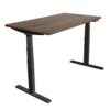 Ultimate Dual Motor Electric Standing Desk with 55" Tabletop