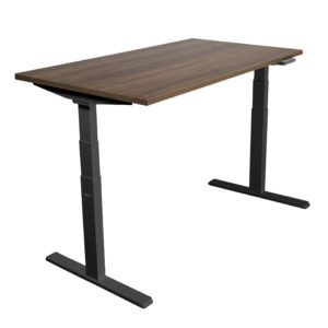 Ultimate Dual Motor Electric Standing Desk with 55" Tabletop