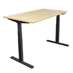 Ultimate Dual Motor Electric Standing Desk with 55" Tabletop