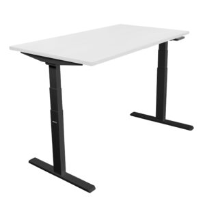 Ultimate Dual Motor Electric Standing Desk with 55" Tabletop