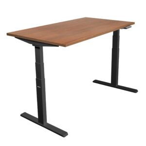 Ultimate Dual Motor Electric Standing Desk with 55" Tabletop