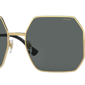 Versace VE2248 Gold Polarized Sunglasses w/ Dark Grey Lenses, 58mm