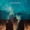 We Share Phenomena (IMPORT)