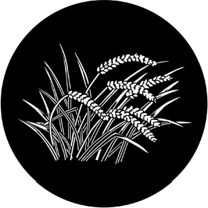 Wheat - Stock Gobo for Gobo Light Projectors - Choose your size!