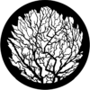 Winter Tree 2 - Stock Gobo for Gobo Light Projectors - Choose your size!