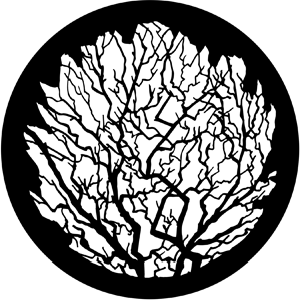 Winter Tree 2 - Stock Gobo for Gobo Light Projectors - Choose your size!