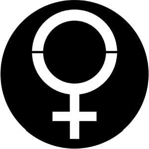 Woman - Stock Gobo for Gobo Light Projectors - Choose your size!