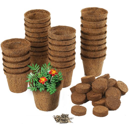 Wonder Soil Classroom Gardening Kit - 30 pots, wonder soil wafers with seeds by Really Good Stuff Wonder Soil Classroom Gardening Kit - 30 pots, wonder soil wafers with seeds by Really Good Stuff